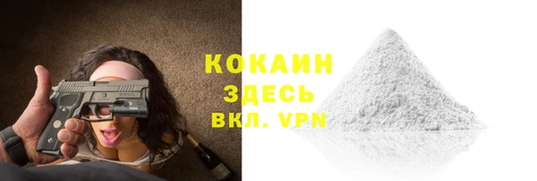 apvp Няндома