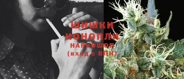 apvp Няндома
